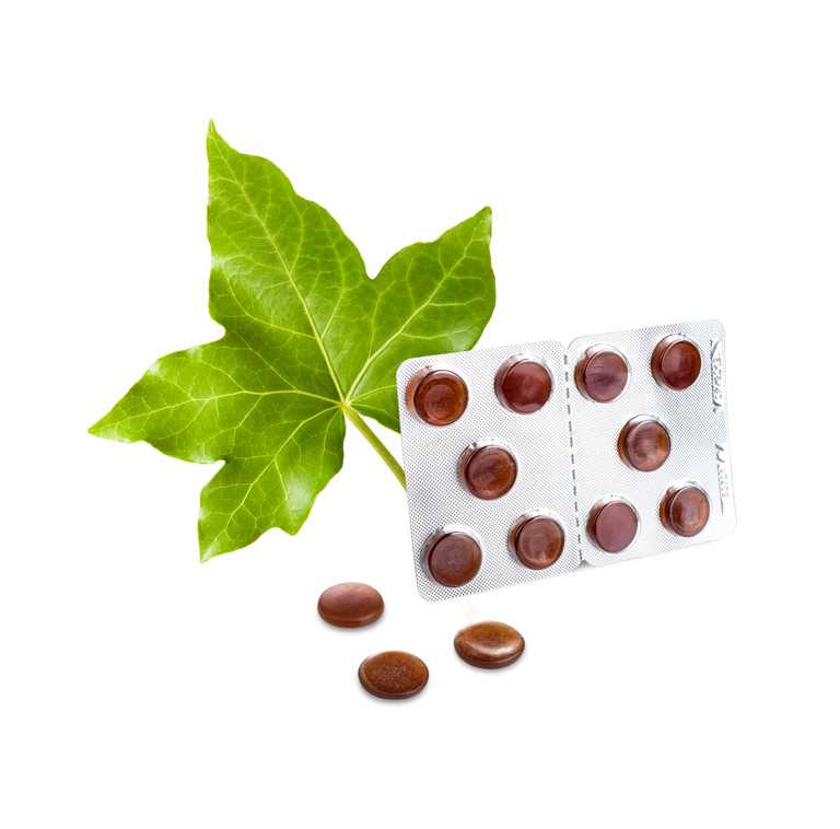 IVY LEAF ORAL GUM
