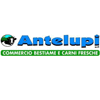 ANTELUPI S.R.L.