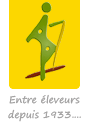 AP SERVICES SARL
