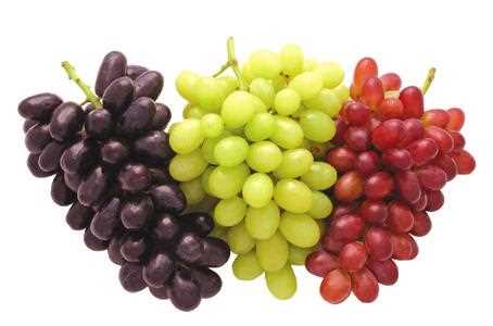 Seedless table grapes Apirene