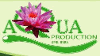 AQUA PRODUCTION