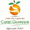 AZIENDA AGRICOLA CARERI GIUSEPPE
