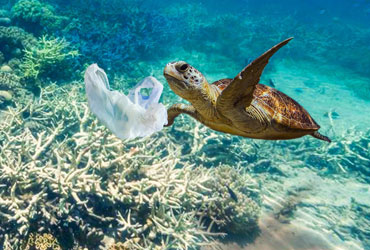 Carga de residuos y reciclado