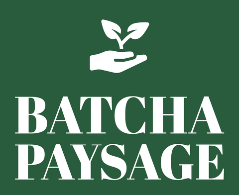 BATCHA PAYSAGE