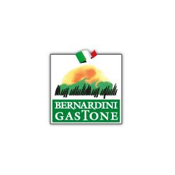 BERNARDINI GASTONE SRL