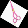 B.F SURGICAL COMPANY