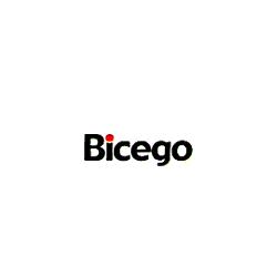 BICEGO ANDREA