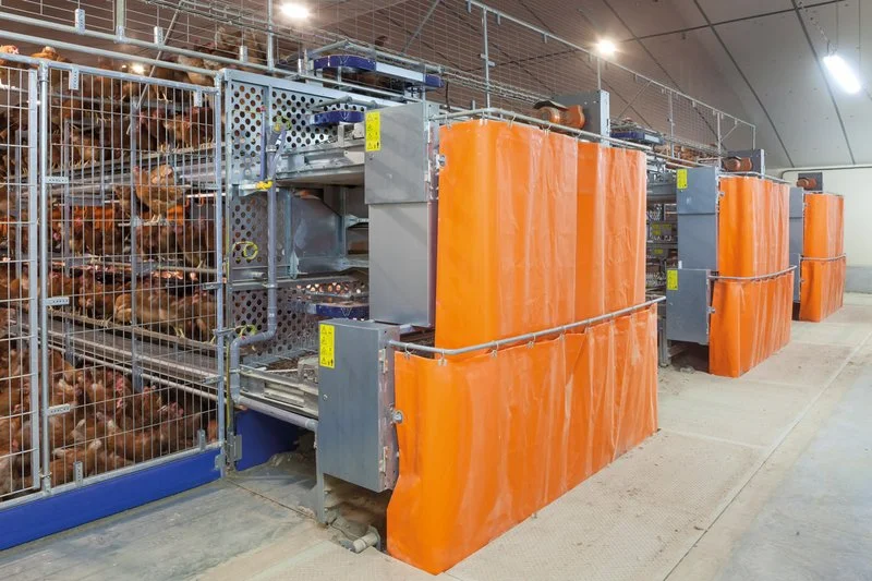  wing cage systems