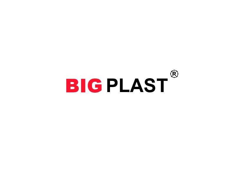 Bigplast S.R.