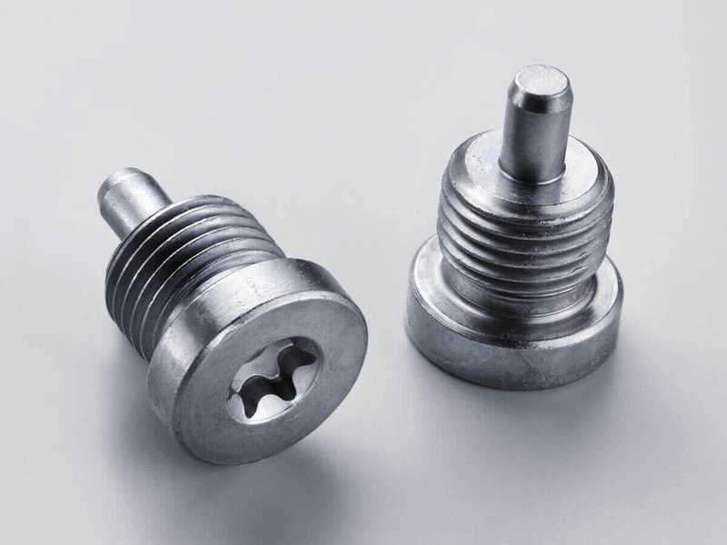 BSH SCREW PLUG – RELIABLE SEALING