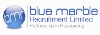 BLUE MARBLE RECRUITMENT LIMITED