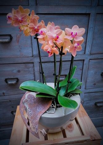 Arrangement flowers