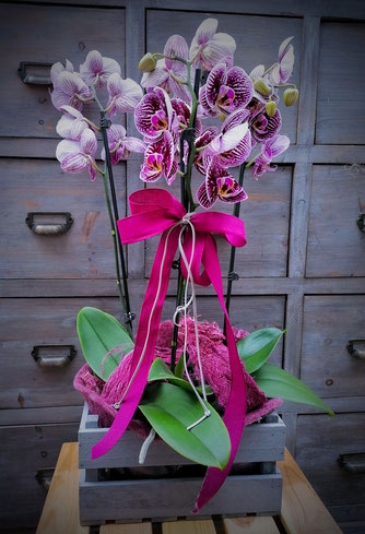 Arrangement flowers