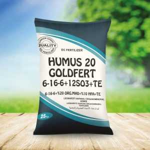 20 Goldbet Humus