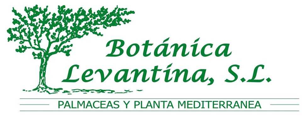 BOTÁNICA LEVANTINA