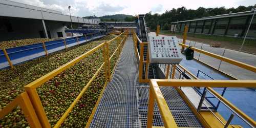 A complete line for production of apple and coloured fruit concetrates