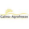 BRITISH EGYPTIAN COMPANY FOR GENERAL DEVELOPMENT (GALINA)