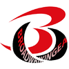BROADWEAR MFG