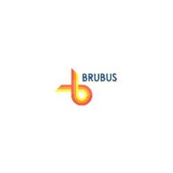 BRUBUS SERVIZI TURISTICI SRL