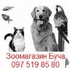 BUCHA PET SHOP