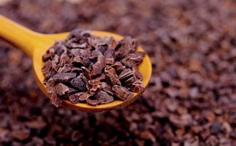 CACAO NIBS