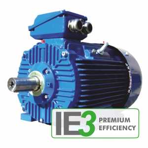  Sincap kafesli rotorlu üç fazlı motorlar