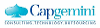 CAPGEMINI BELGIUM