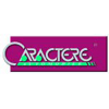 CARACTERE AUTOMOBILE