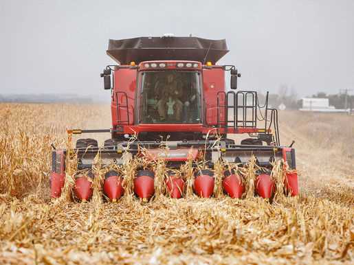 Maisköpfe für die Kombination von Harvester