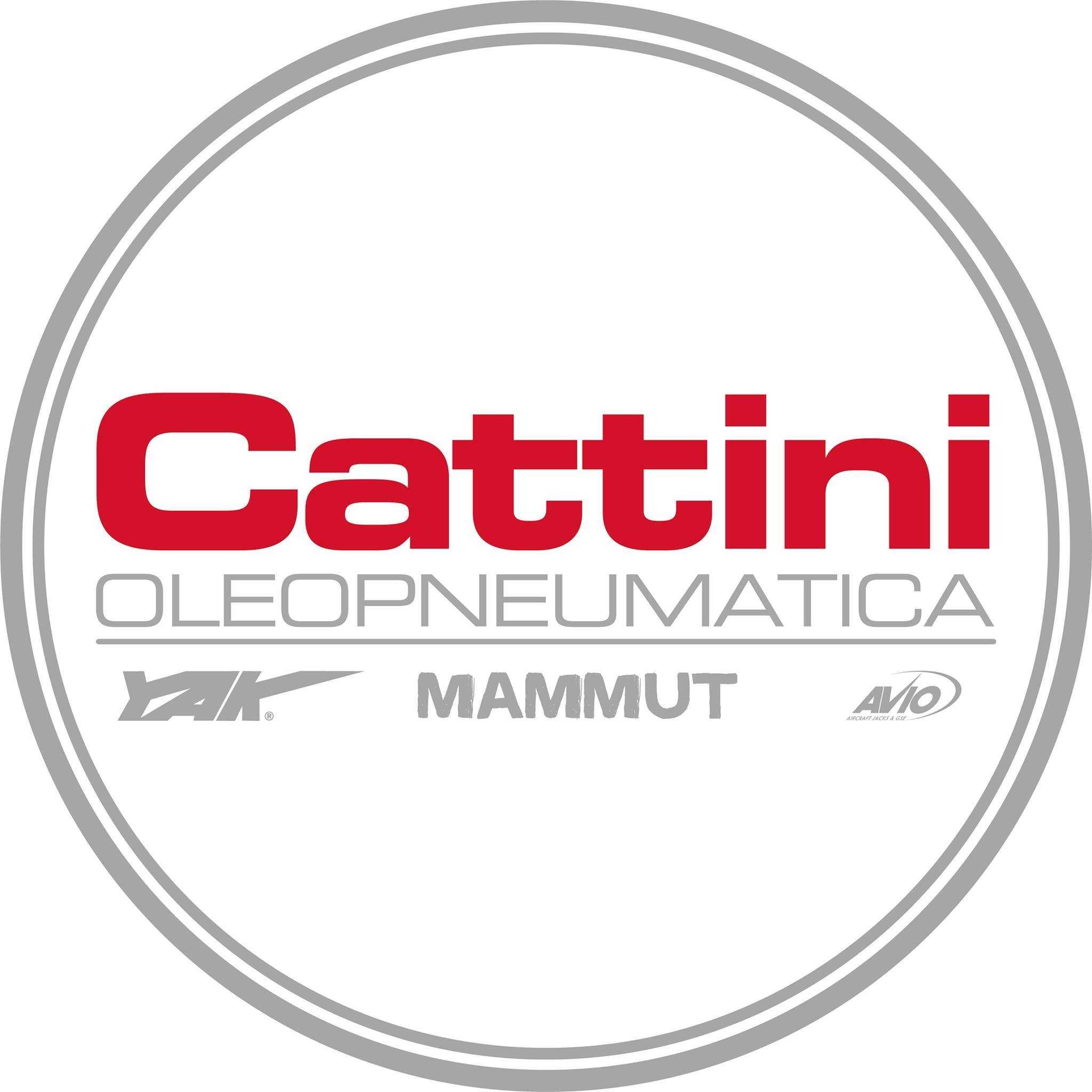 Cattini Oleopneumatica SRL