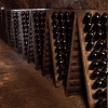 CAVES ST MARTIN
