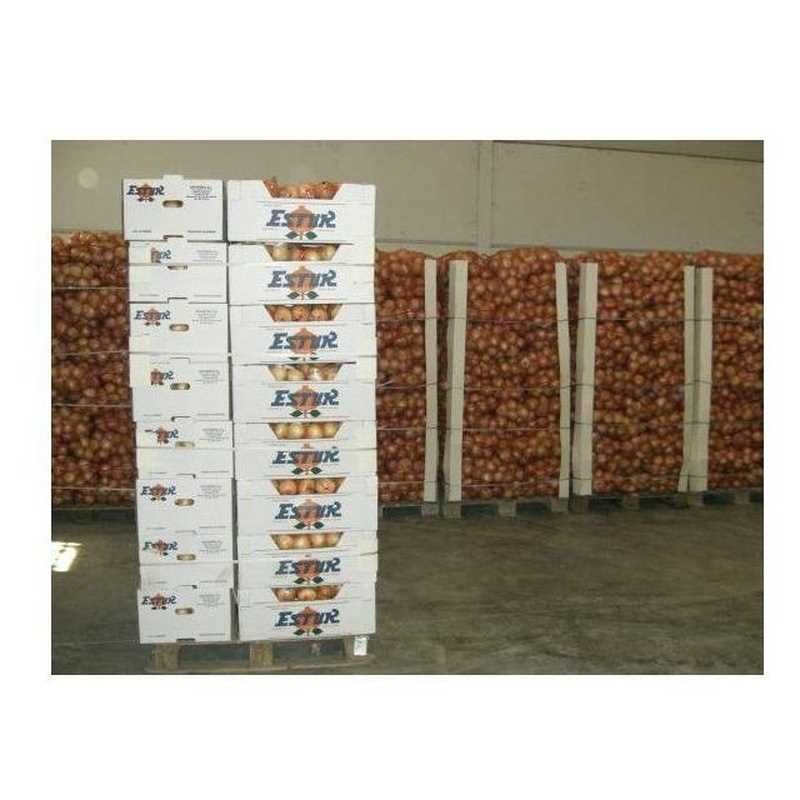 Wholesale of onions