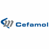 CEFAMOL - ASSOCIAÇÃO NACIONAL DA INDÚSTRIA DE MOLDES