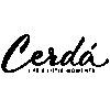 CERDÁ GROUP
