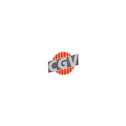 CGV CARTOTECNICA GRAFICA VICENTINA SRL