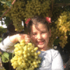 CIHANUYGUN