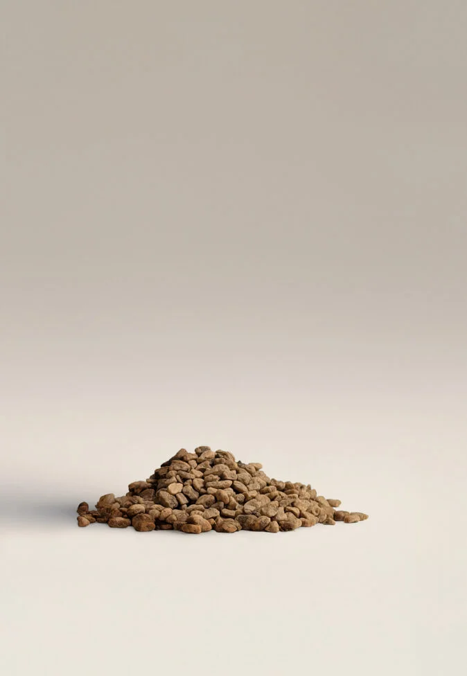 Ezilmis zeytin cekirdekleri