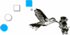 COLIBRI-DESIGN JOCHEN DIETZEL