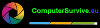 COMPUTERSURVIVE