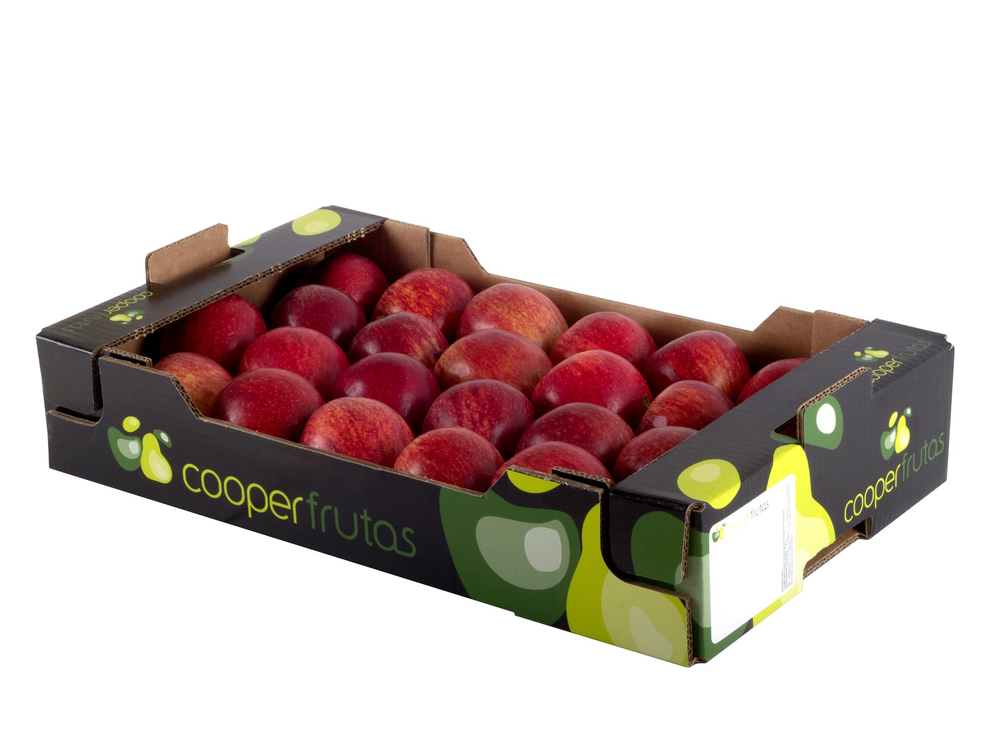commerce de gros des fruits