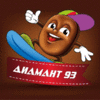 DIAMANT-93 LTD.