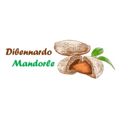 DIBENNARDO SALVATORE