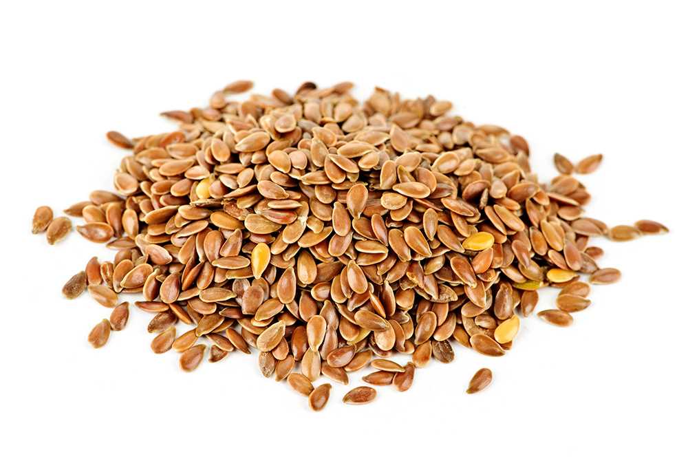 Organic Seeds / Flax brown