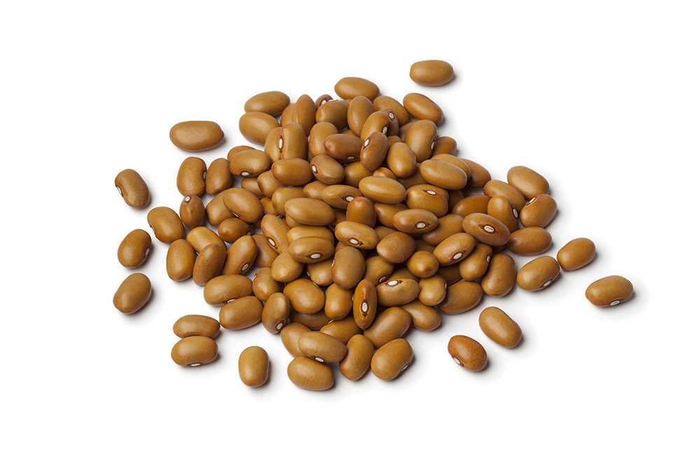 Organic Beans / Beans brown