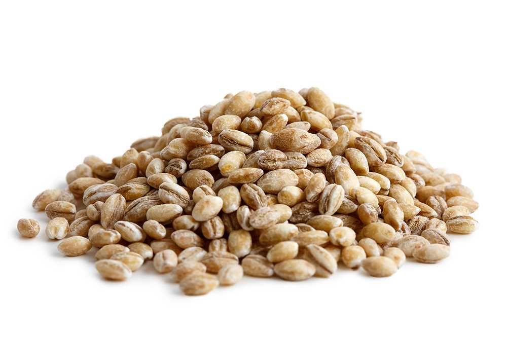 Organic Grains / Barley