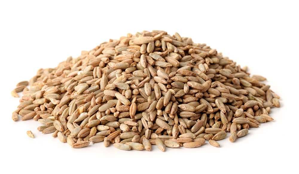 Organic Grains / Rye