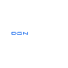 DSN GROUP