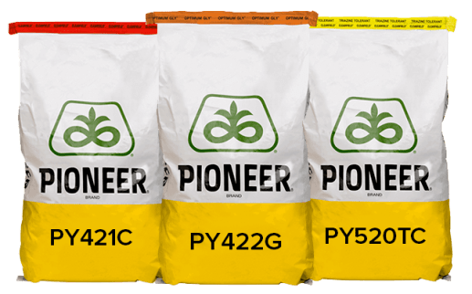 Raps-Hybriden der Marke Pioneer(r)