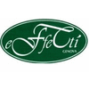 EFFETTI S.R.L.