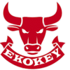 EKOKEY DOO